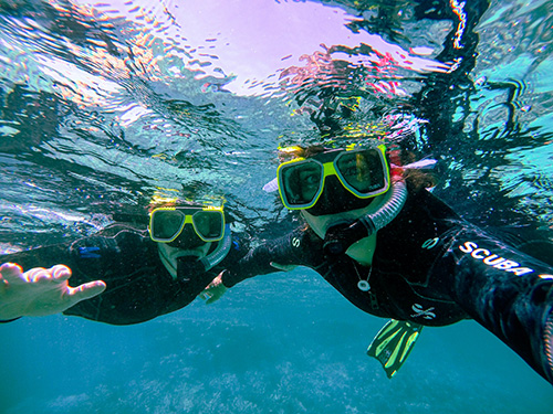 Meilleur masque de snorkeling : masque facial intégral ou classique