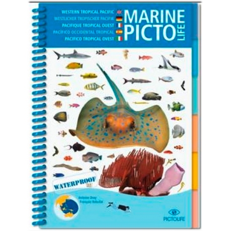 Pictolife Pacifique Tropical Ouest