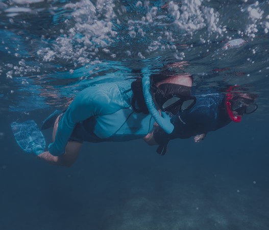 Snorkeling (1054 x 900)