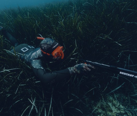 Chasse sous-marine (1054 x 900)